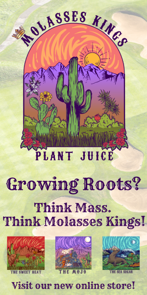 Advertisement