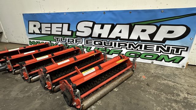 IMG_1430.jpeg.a79b5343d6b04bee5b5edb057ef397b8.jpeg