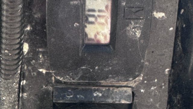 IMG_3525.jpeg.0ef2db17ddde00a8e39bcd0466556972.jpeg