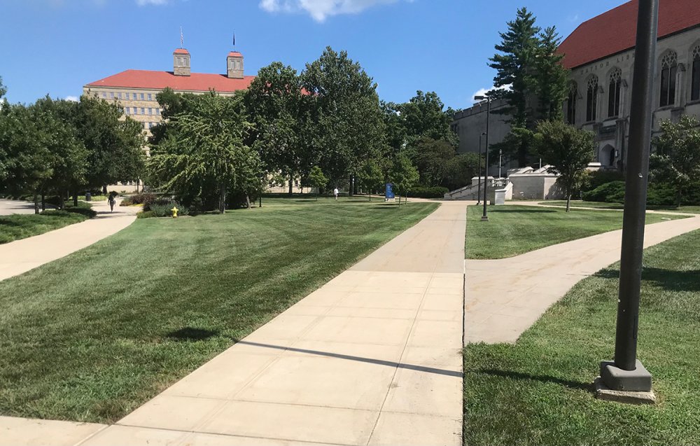 campus_turf.jpg