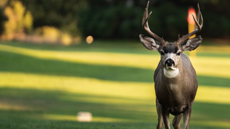 111125 elga crystal springs3.jpg