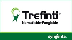 111225 trefiniti 3.jpg