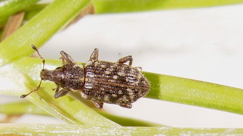 032626 abw.jpg